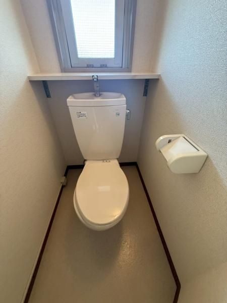 �y�g�C���z�@