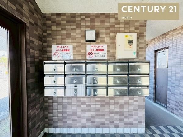 �y���̑����L�����z�@