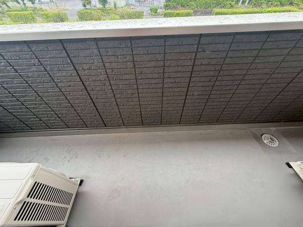 �y�o���R�j�[�z�@