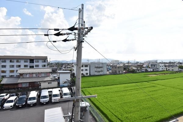 �y���]�z�@���������ʎ���