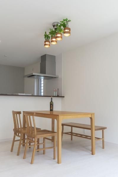 �y���̑��z�@