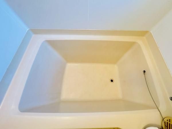 �y�o�X�z�@