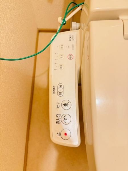 �y�g�C���z�@