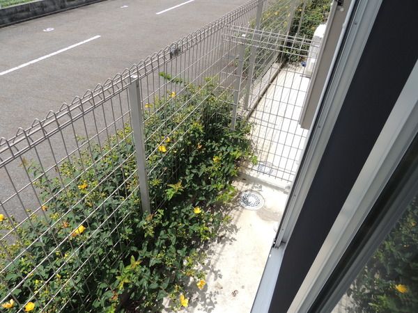 �y�o���R�j�[�z�@���d�l�ʐ^