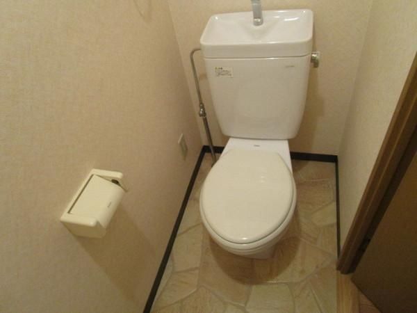 �y�g�C���z�@���d�l�ʐ^