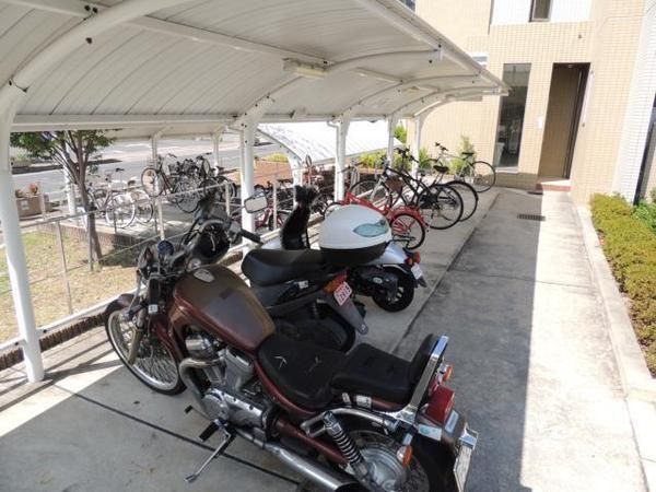 �y���̑����L�����z�@