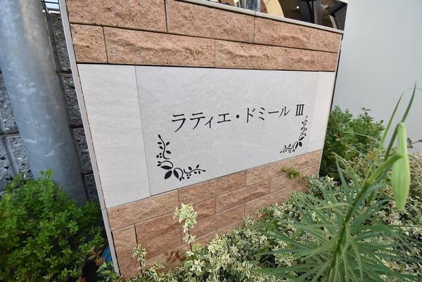 �y���̑����L�����z�@