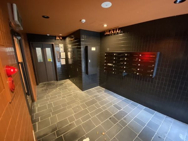 �y���̑����L�����z�@
